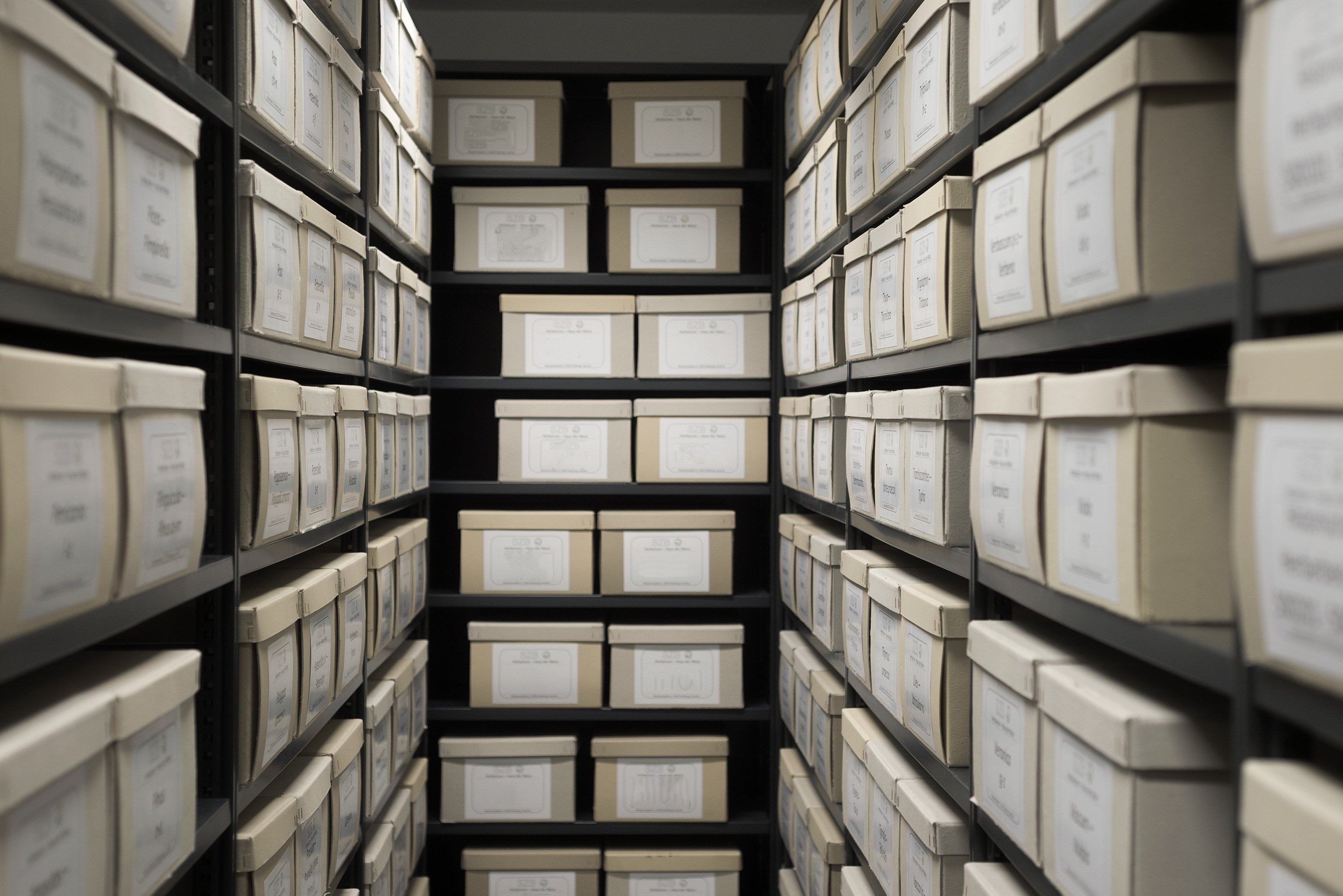 Документы об архивах библиотек. Архив документов. Хранение документов. Архивное хранение документов. Хранение дел в архиве.