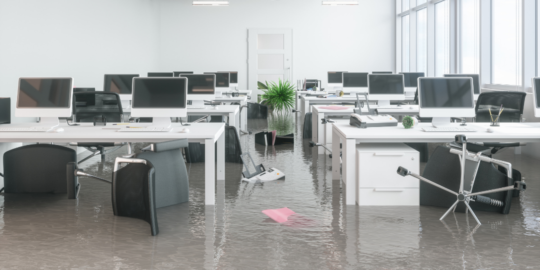 Disaster Recovery For Your Documents